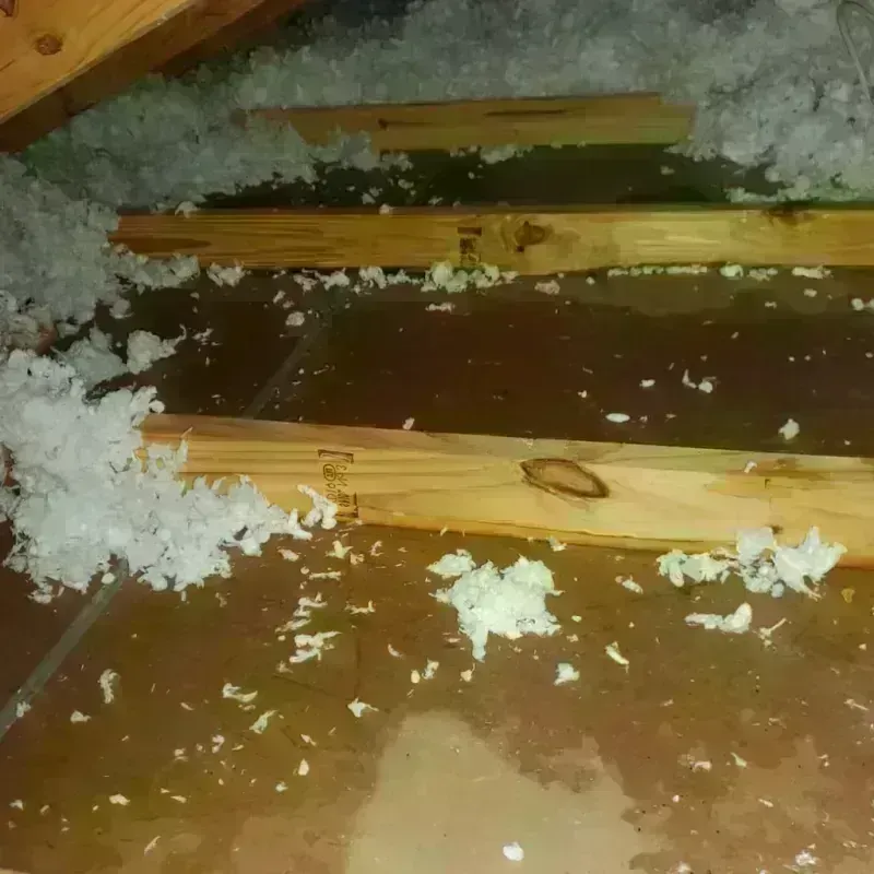 Attic Water Damage in Merriam, KS