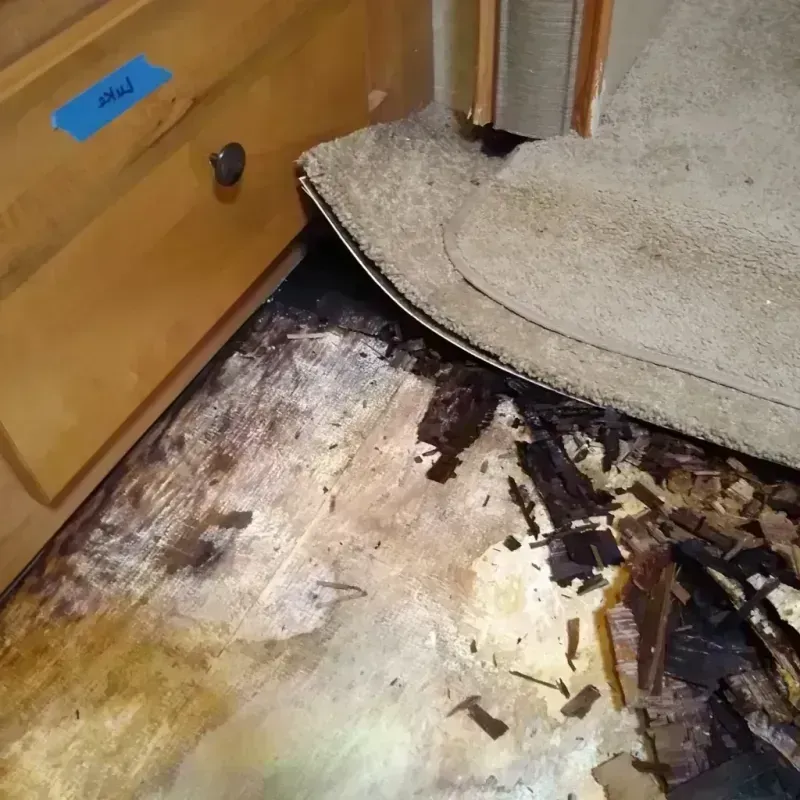 Wood Floor Water Damage in Merriam, KS